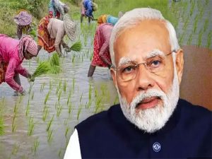 कृषि क्षेत्र में बड़ा कदम: पीएम मोदी ने 42,000 करोड़ रुपये की योजना की घोषणा, 100 पिछड़े गांवों पर विशेष ध्यान